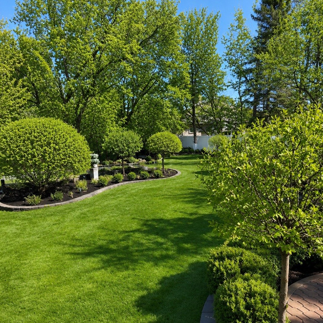 Beautiful Lawn