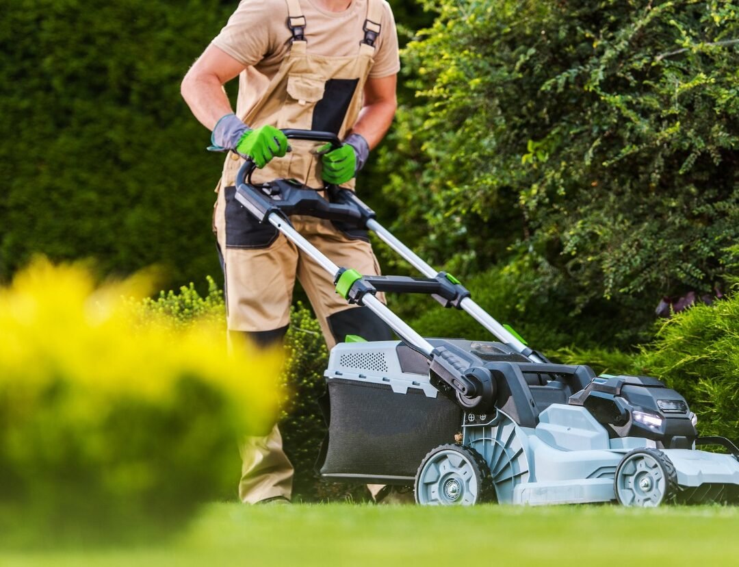 Professional lawn care