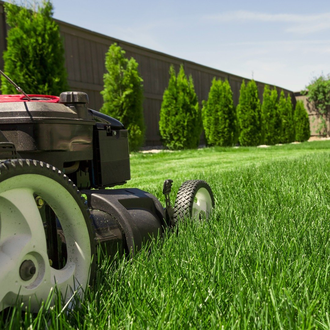 Spring Fall Cleanup